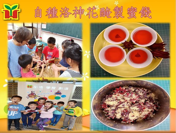 學校自己栽種洛神花，收成後製成蜜餞及洛神花茶，酸甜滋味令人欲罷不能。