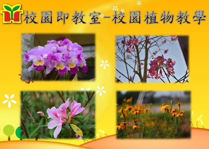 永和國小是一所美麗的森林小學，重視品格力、學習力及創造力，我們期待孩子能在優質的環境中成長，以及快樂的學習。