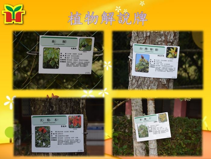 設置校園植物辨識牌，讓學生處處可學習，並可結合校內教學。