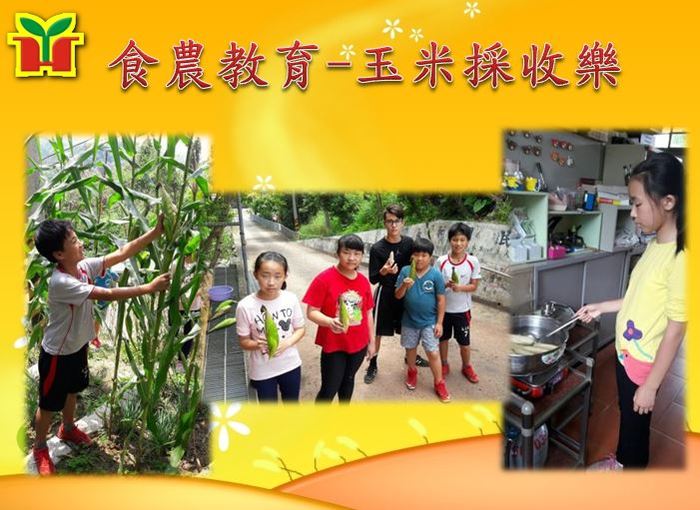 學生採收玉米，並自己動手烹煮，要開動了！