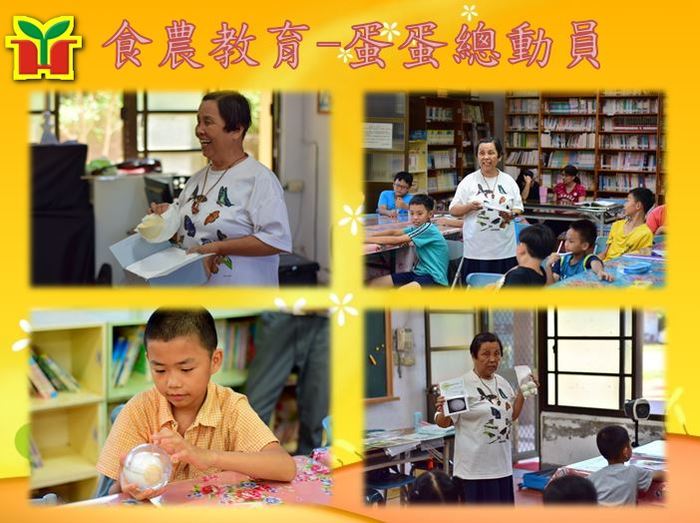 邀請林正瑜老師解說各種鳥蛋的顏色、形狀、大小及斑紋，還有生態環境所面臨的威脅，包括人類開發、資源不正當使用、氣候變遷及環境汙染等，增進孩子從小對生態環境的關懷，為地球永續盡一份心力。
